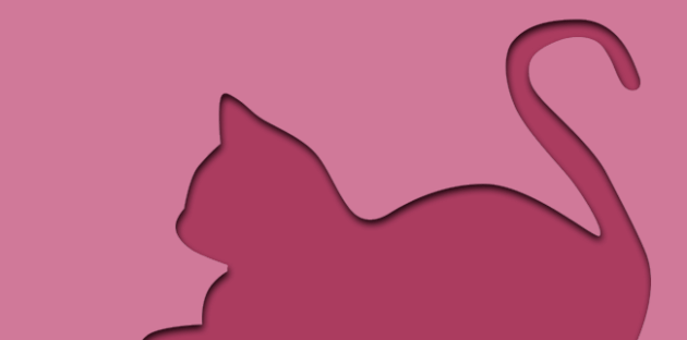 gato-rosa